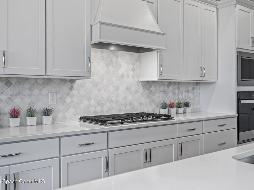 2575 Pine Preserve Court, St. Cloud, FL 34771