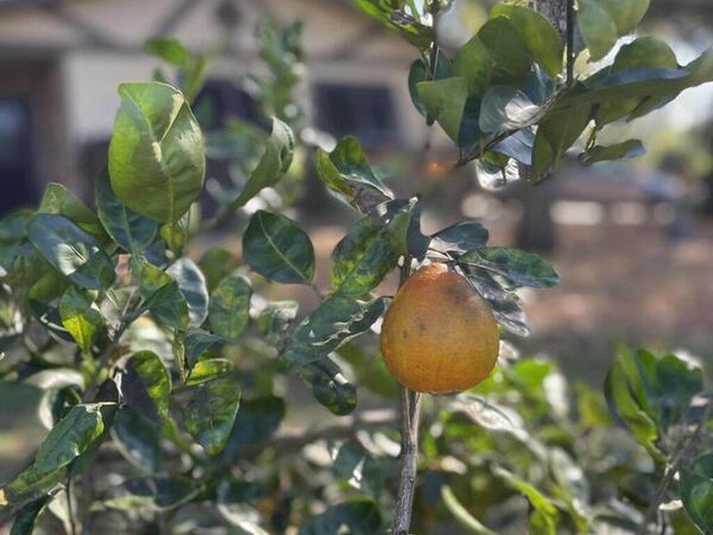 2555 State Street, Melbourne, FL 32904