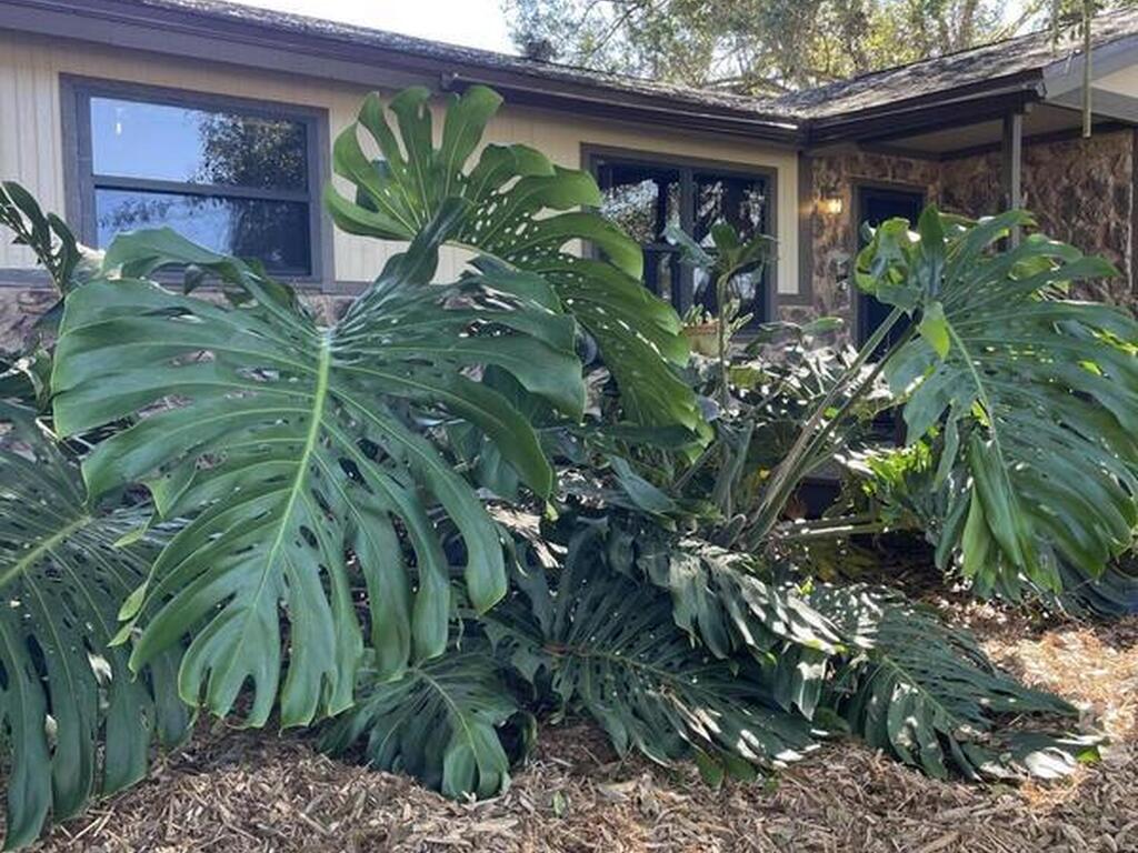 2555 State Street, Melbourne, FL 32904