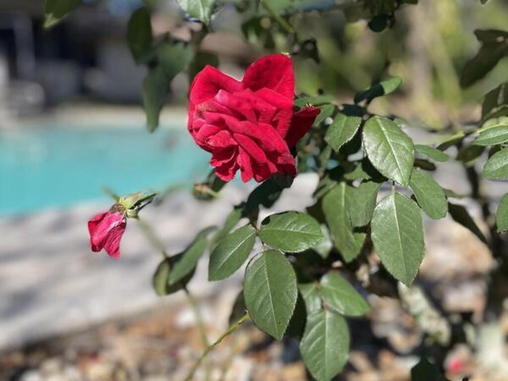 2555 State Street, Melbourne, FL 32904