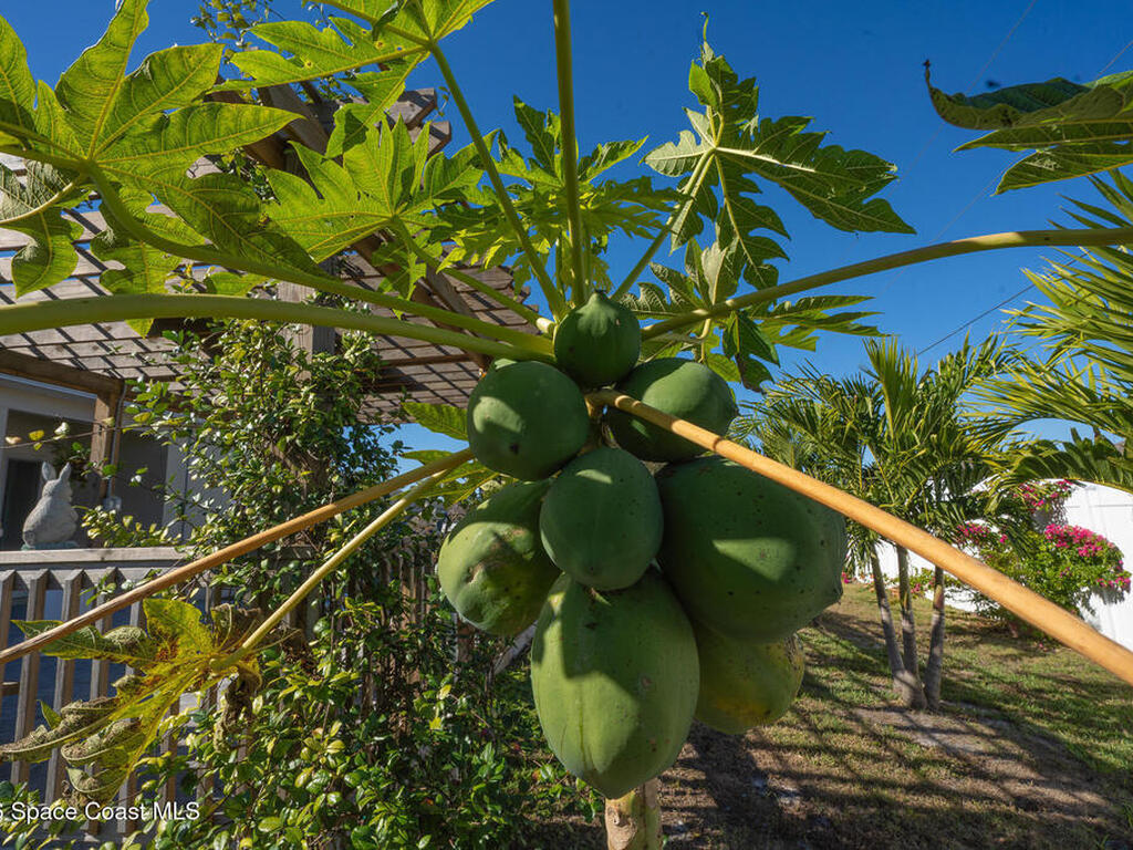 1673 Colorado Street, Palm Bay, FL 32909