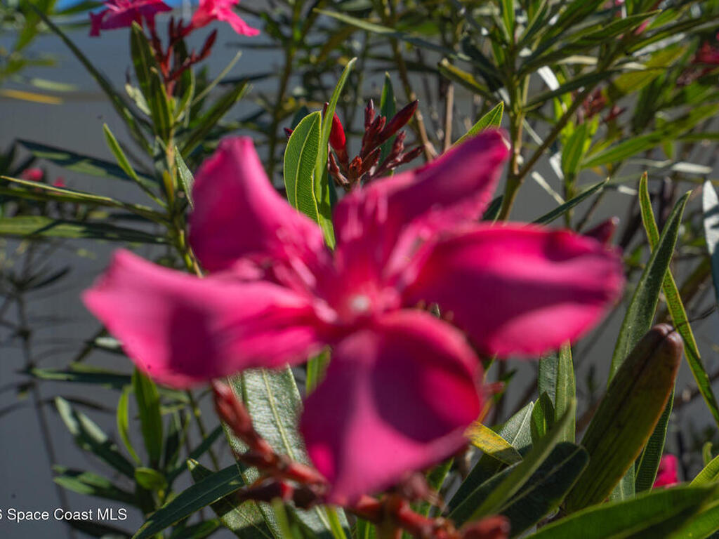 1673 Colorado Street, Palm Bay, FL 32909