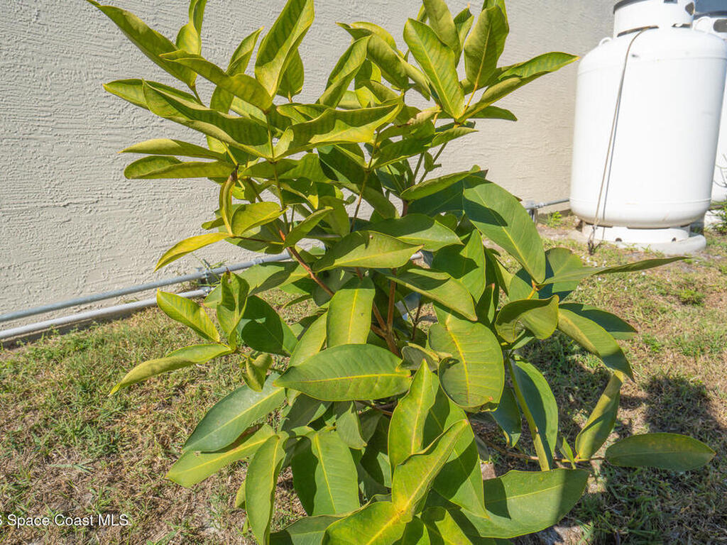 1673 Colorado Street, Palm Bay, FL 32909