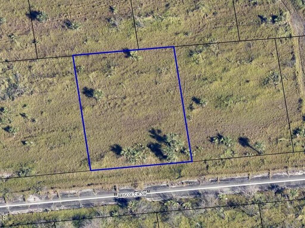 1529 Briscoe Circle, Palm Bay, FL 32908