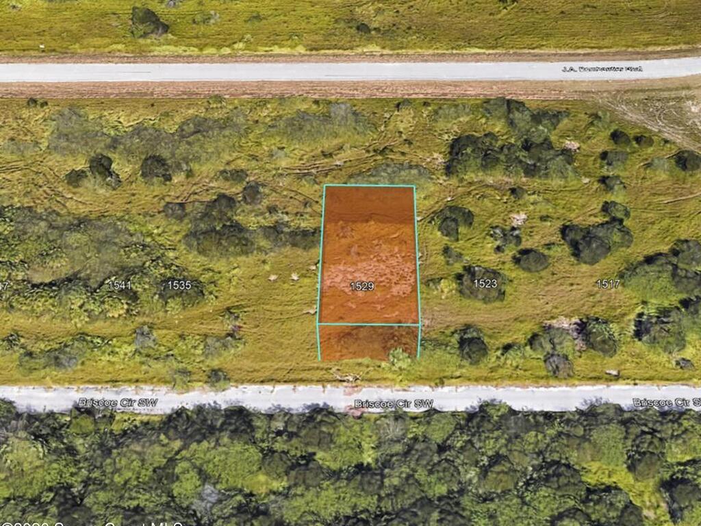 1529 Briscoe Circle, Palm Bay, FL 32908