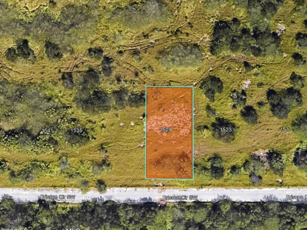 1529 Briscoe Circle, Palm Bay, FL 32908