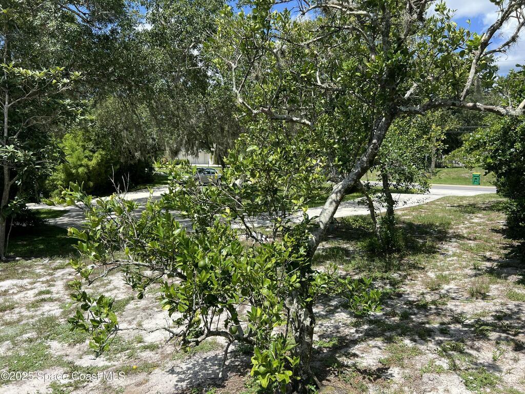 6031 Barna Avenue, Titusville, FL 32780