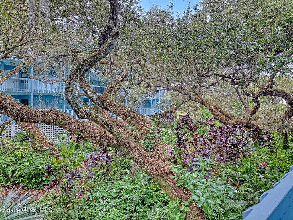 240 Hammock Shore Drive, Melbourne Beach, FL 32951