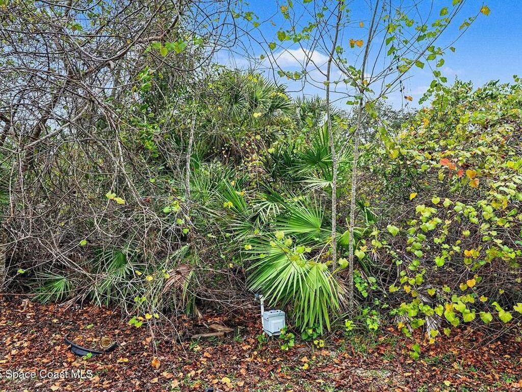 4270 Knoxville Avenue, Cocoa, FL 32926