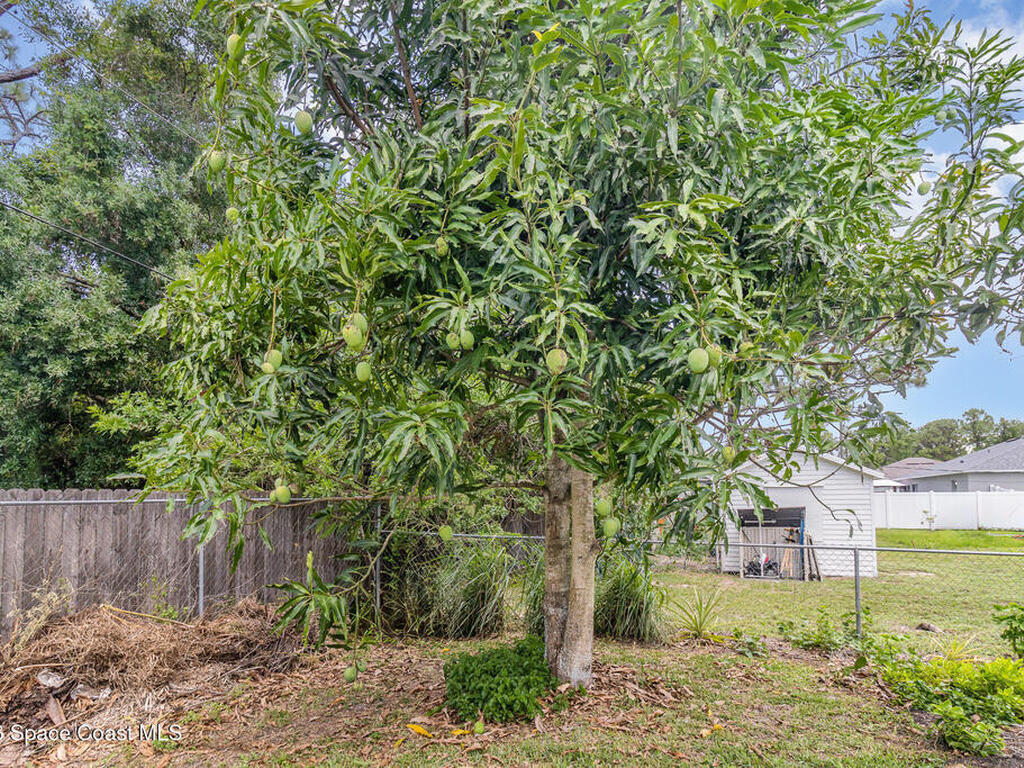 251 District Street, Palm Bay, FL 32909