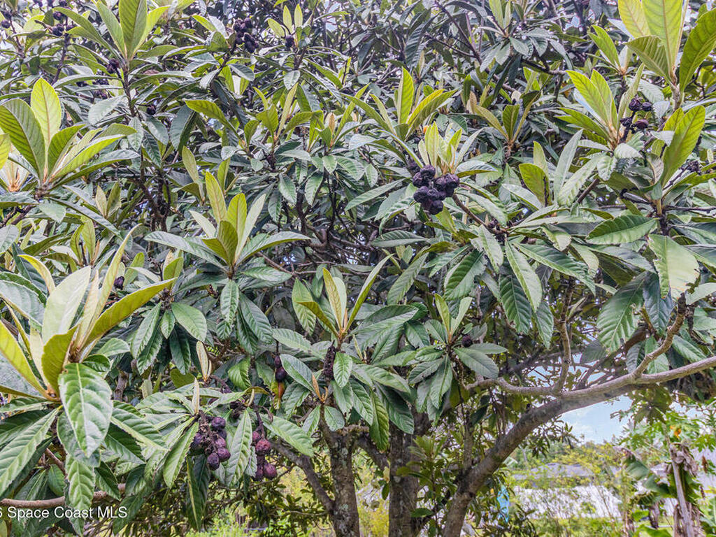 251 District Street, Palm Bay, FL 32909