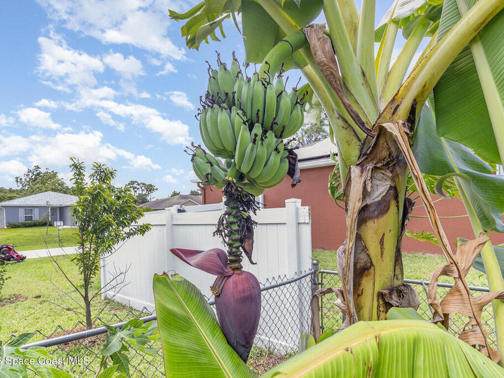 251 District Street, Palm Bay, FL 32909