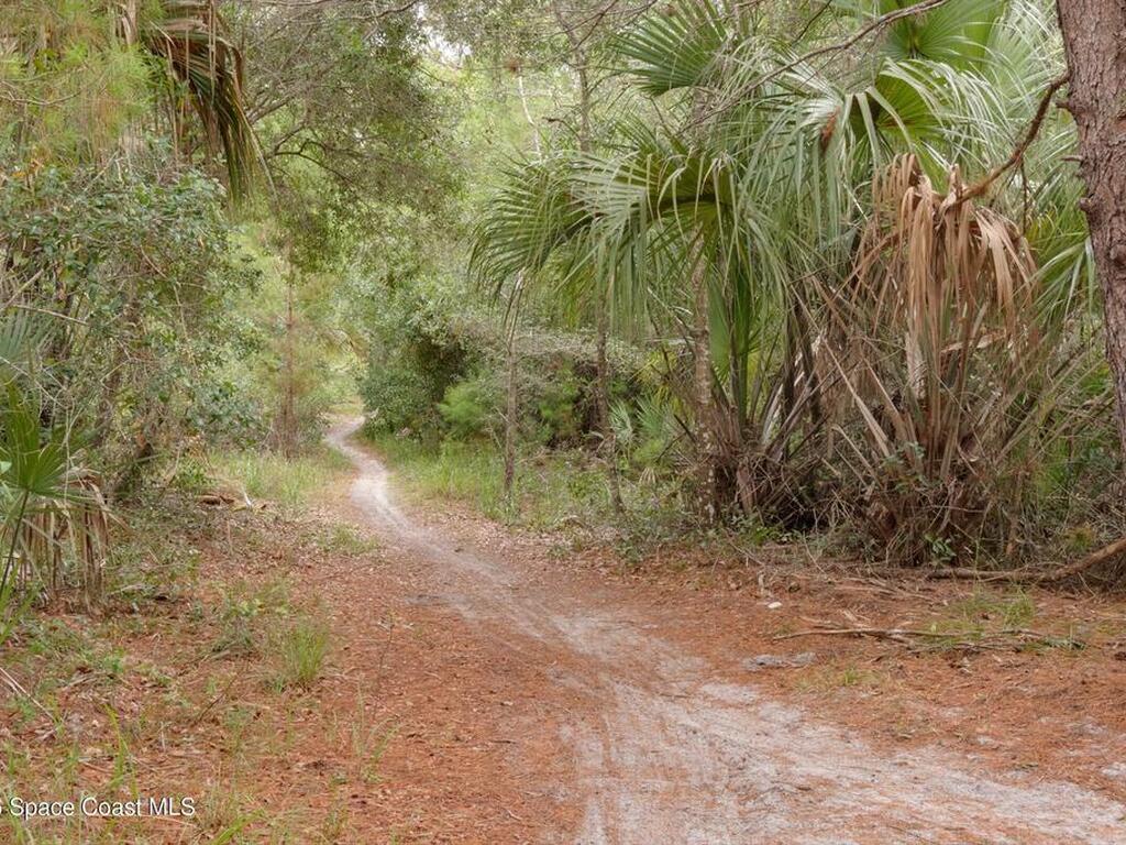 767 Badger Drive, Palm Bay, FL 32905