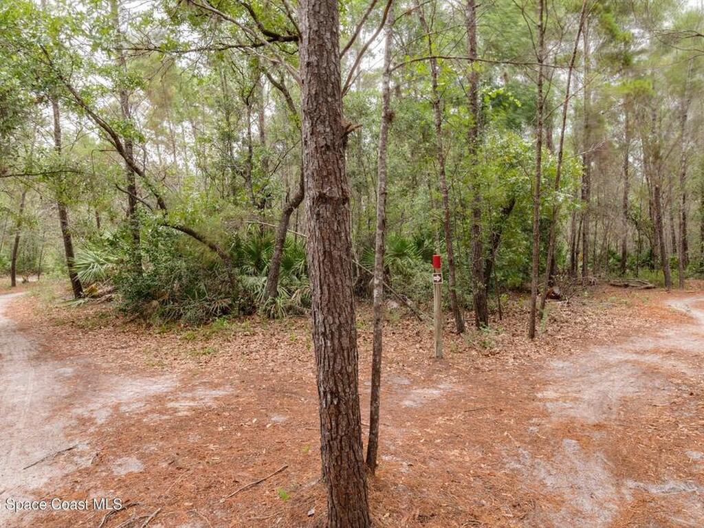 767 Badger Drive, Palm Bay, FL 32905