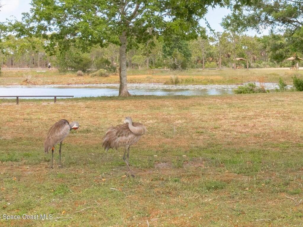 767 Badger Drive, Palm Bay, FL 32905