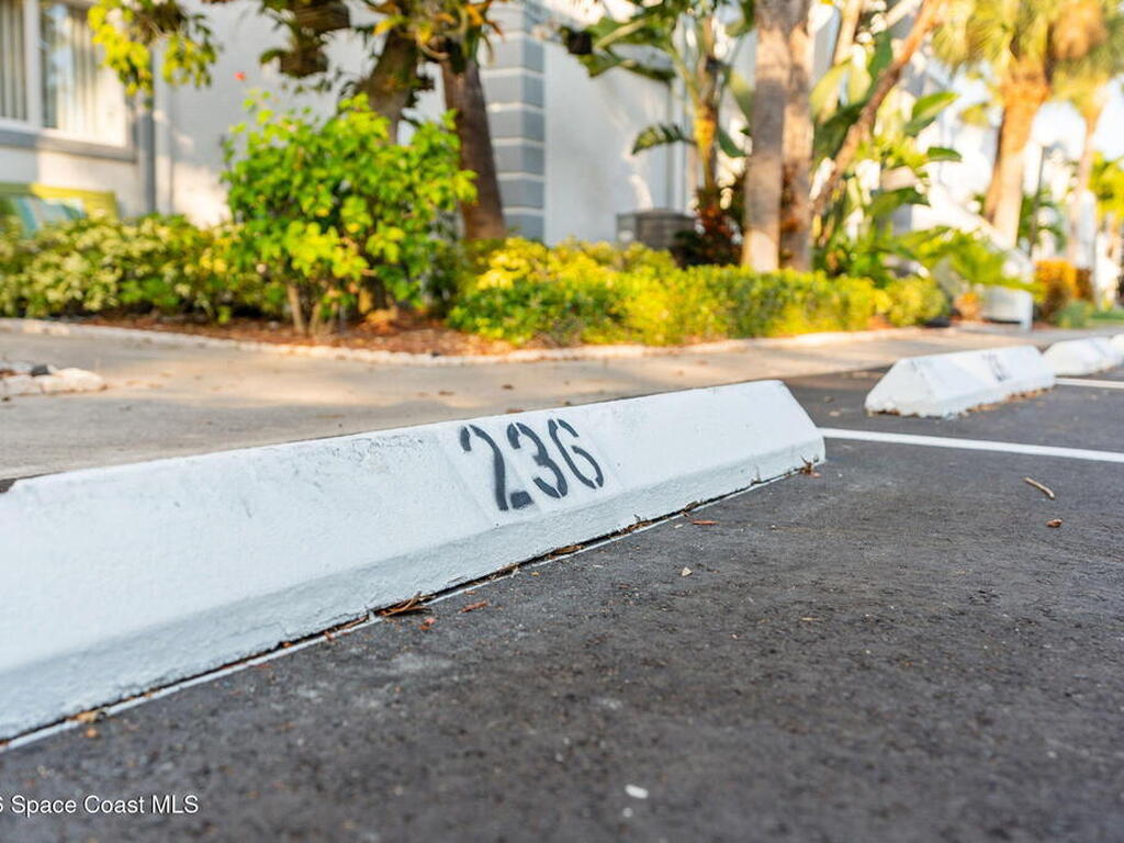 236 Beach Park Lane, Cape Canaveral, FL 32920