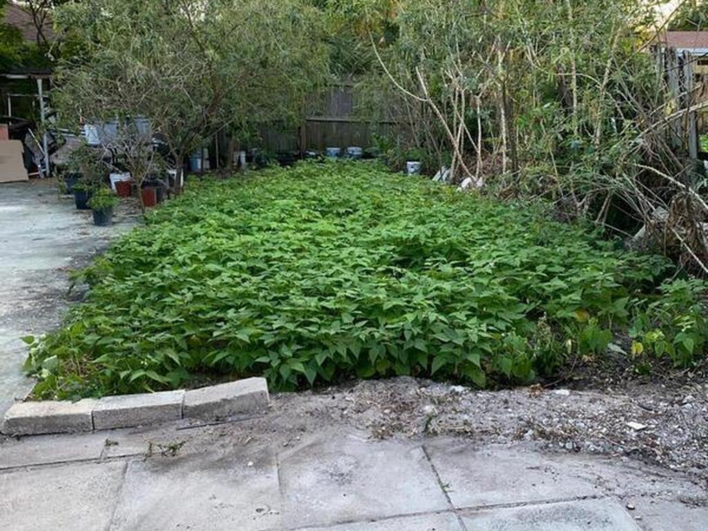 612 E Minnesota Street, Lantana, FL 33462