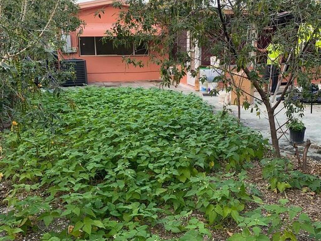 612 E Minnesota Street, Lantana, FL 33462