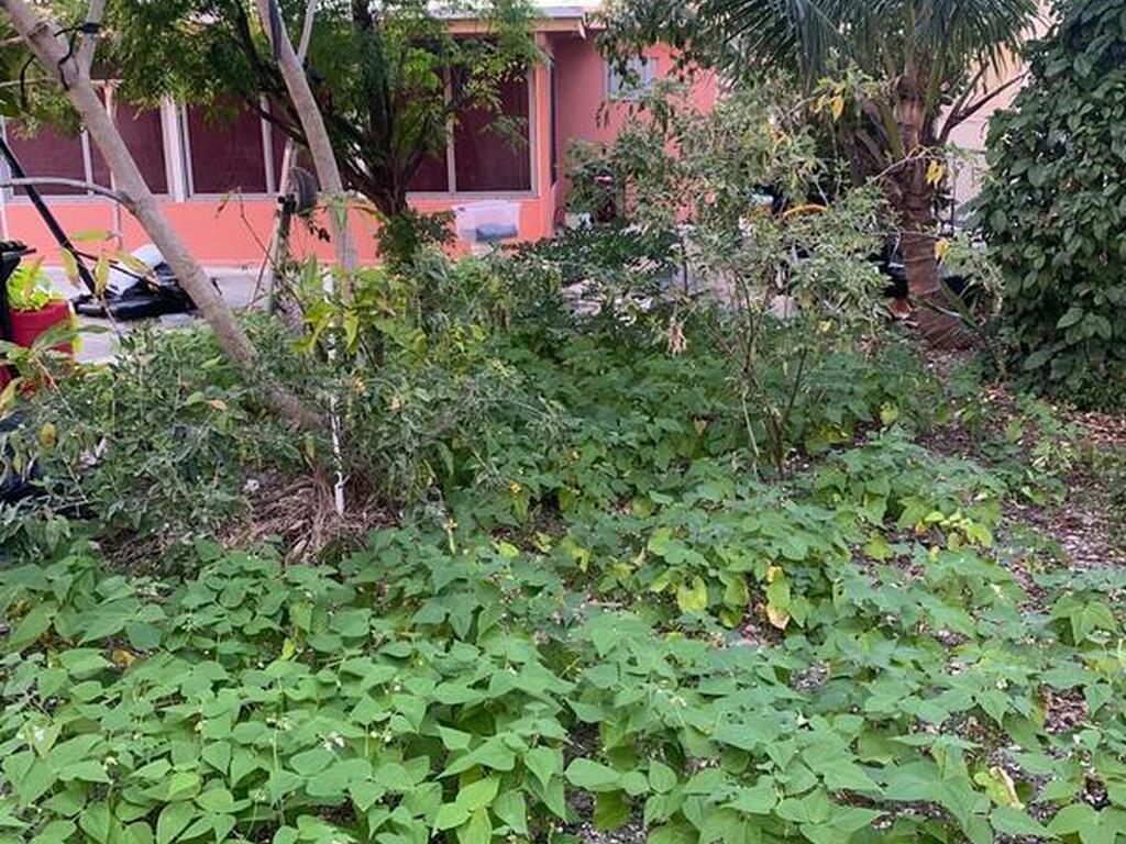 612 E Minnesota Street, Lantana, FL 33462