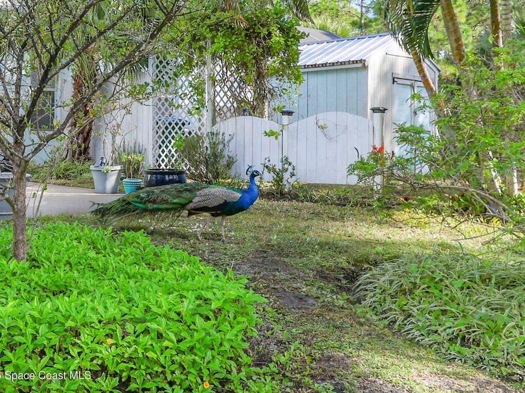 3865 Laurens Avenue, Malabar, FL 32950