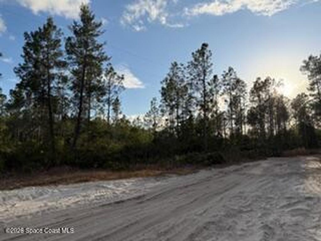 880 Still Road, Pierson, FL 32180