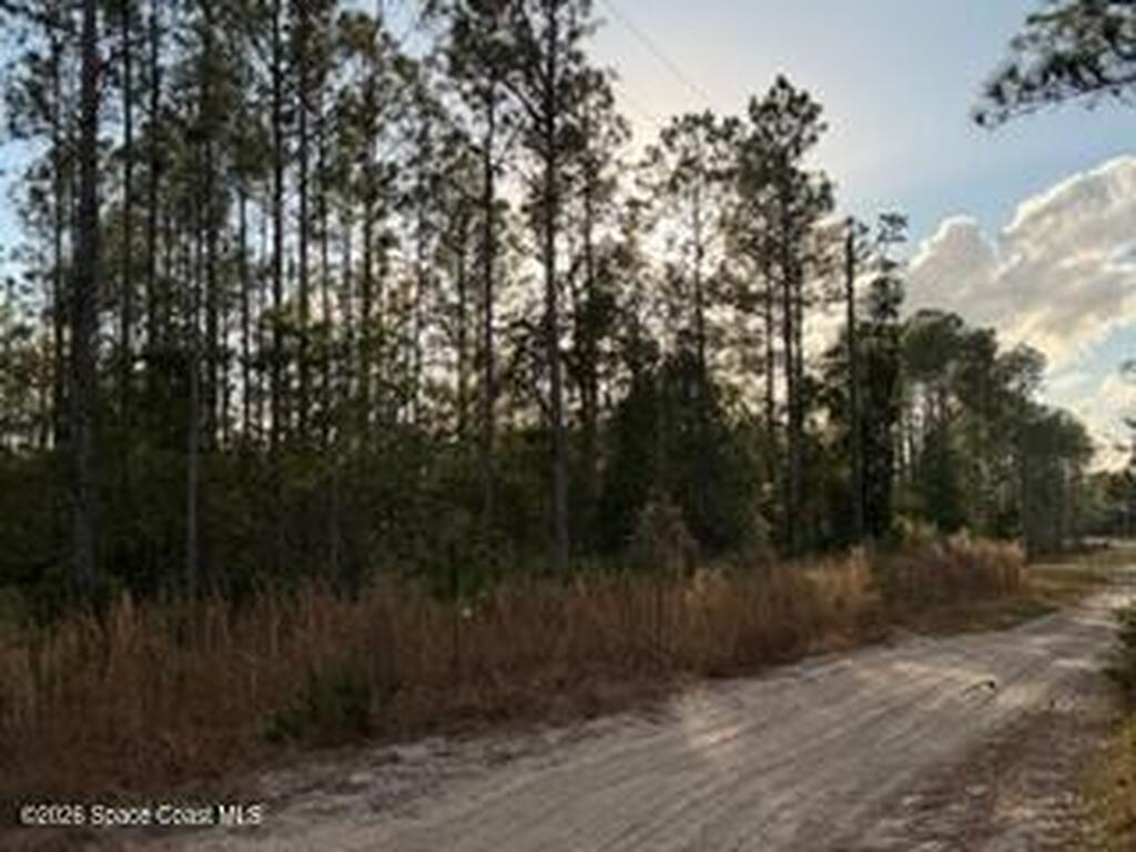 880 Still Road, Pierson, FL 32180