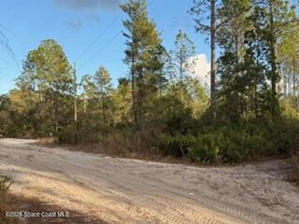 880 Still Road, Pierson, FL 32180