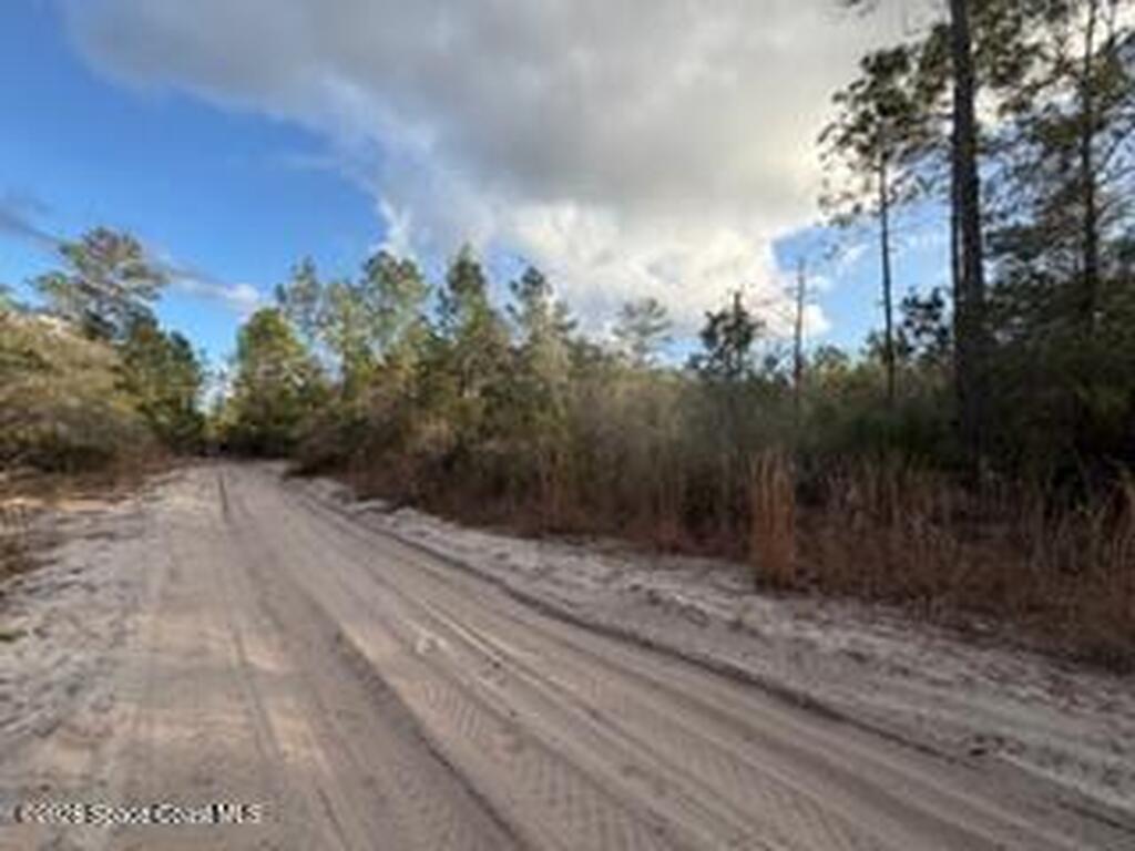 880 Still Road, Pierson, FL 32180