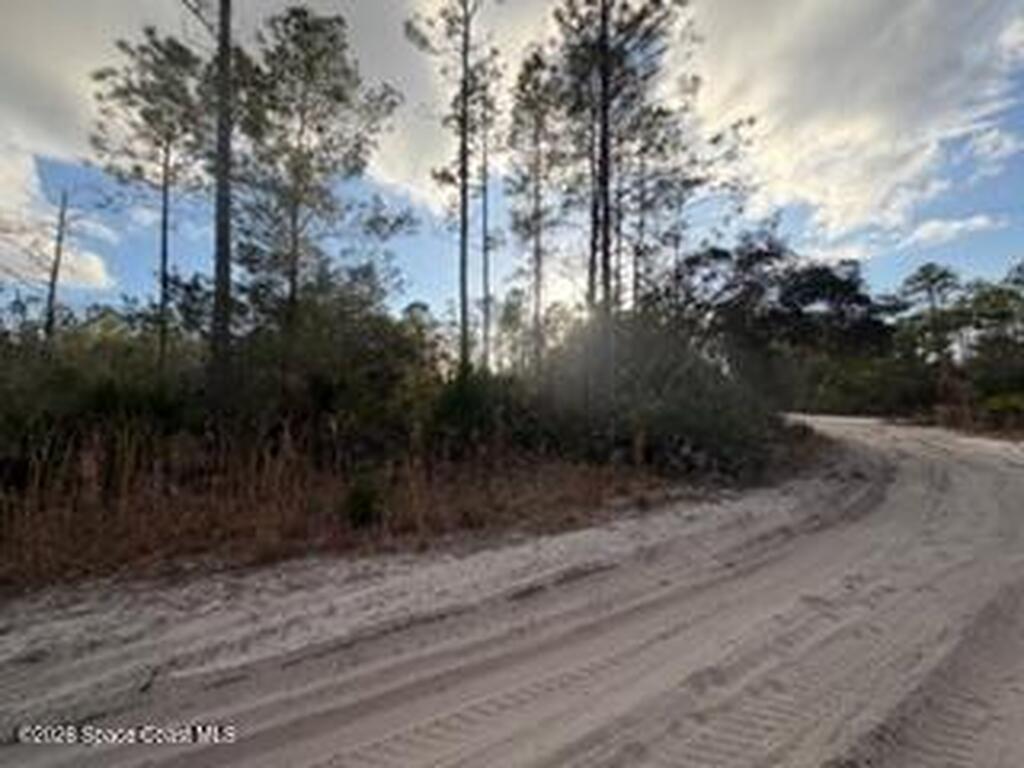 880 Still Road, Pierson, FL 32180