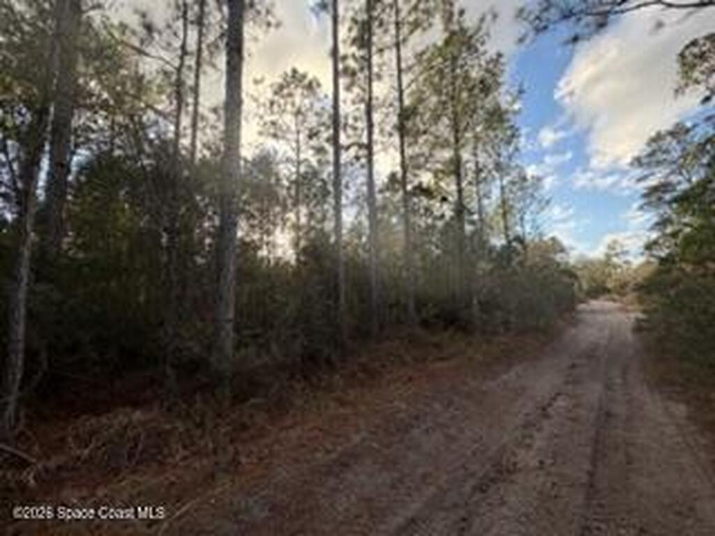880 Still Road, Pierson, FL 32180