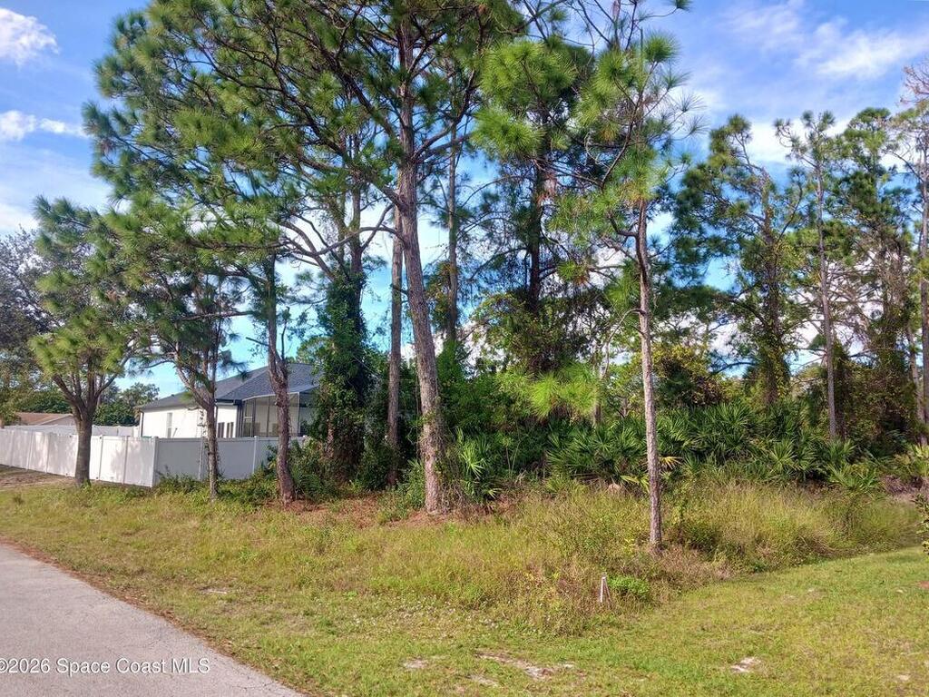 249 San Luis Street, Palm Bay, FL 32908