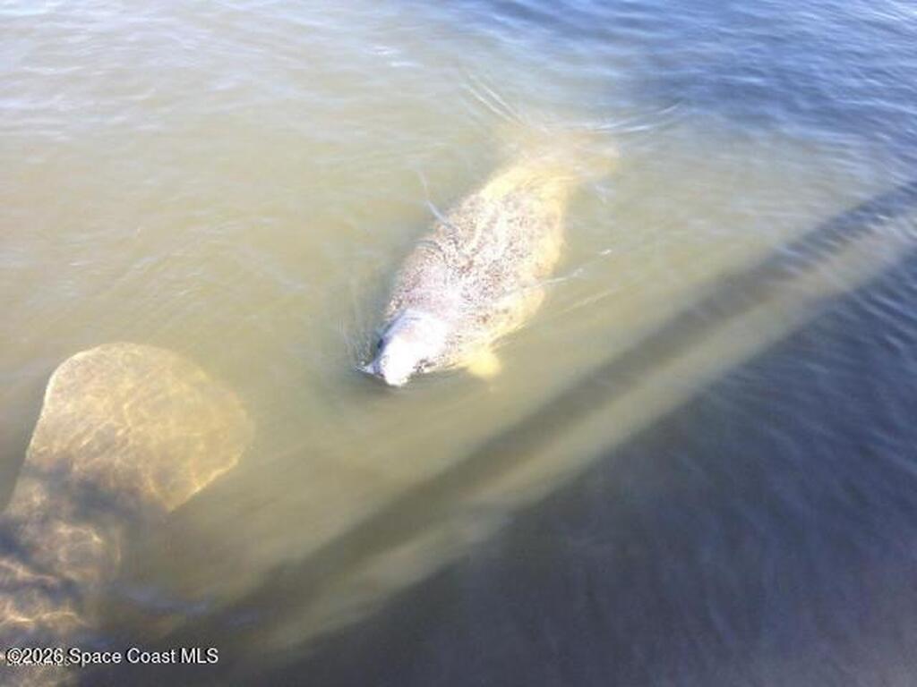 3681 Sawgrass Drive, Titusville, FL 32780