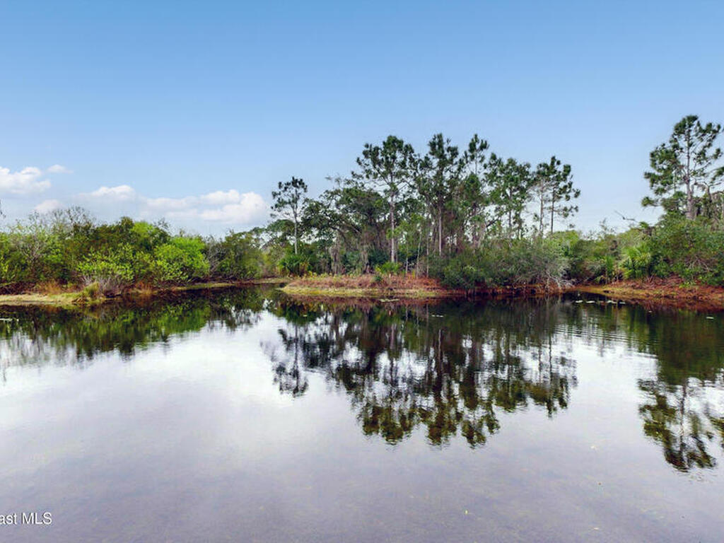 786 Conestee Drive, Melbourne, FL 32904