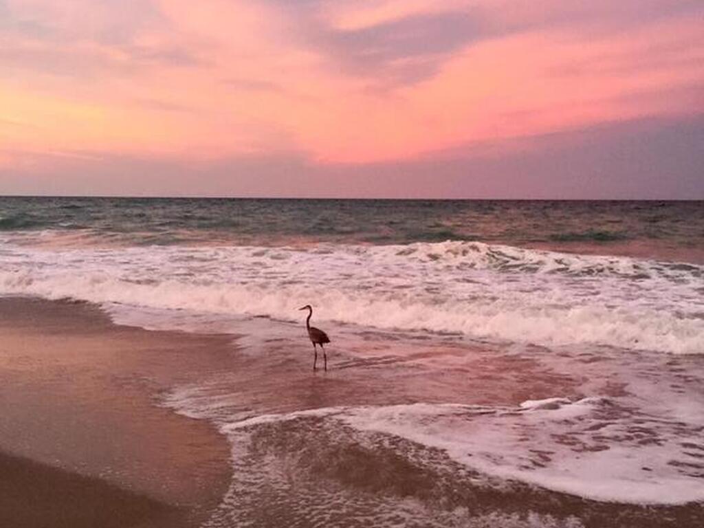 6710 Highway A1a, Melbourne Beach, FL 32951