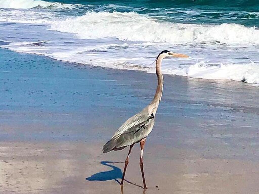 6710 Highway A1a, Melbourne Beach, FL 32951