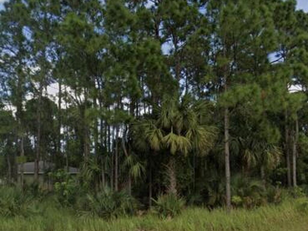 0000 Gould Avenue, Palm Bay, FL 32908