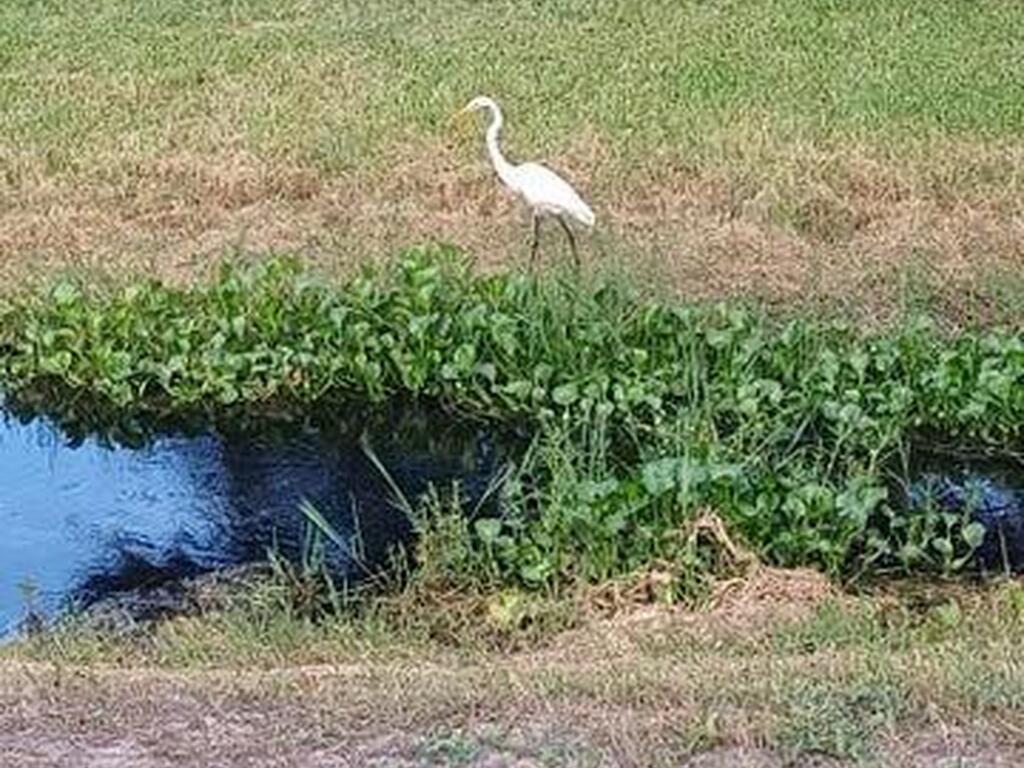 2631 Ivory Way, Titusville, FL 32780