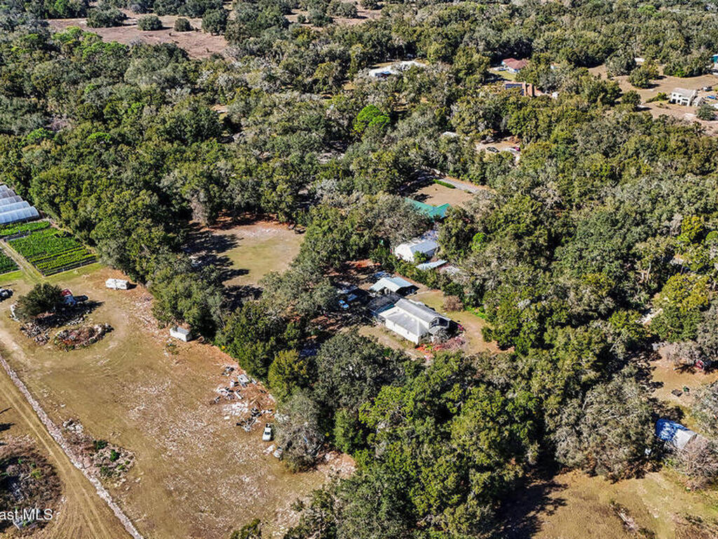 4400 Conrad Acres Lane, Apopka, FL 32712