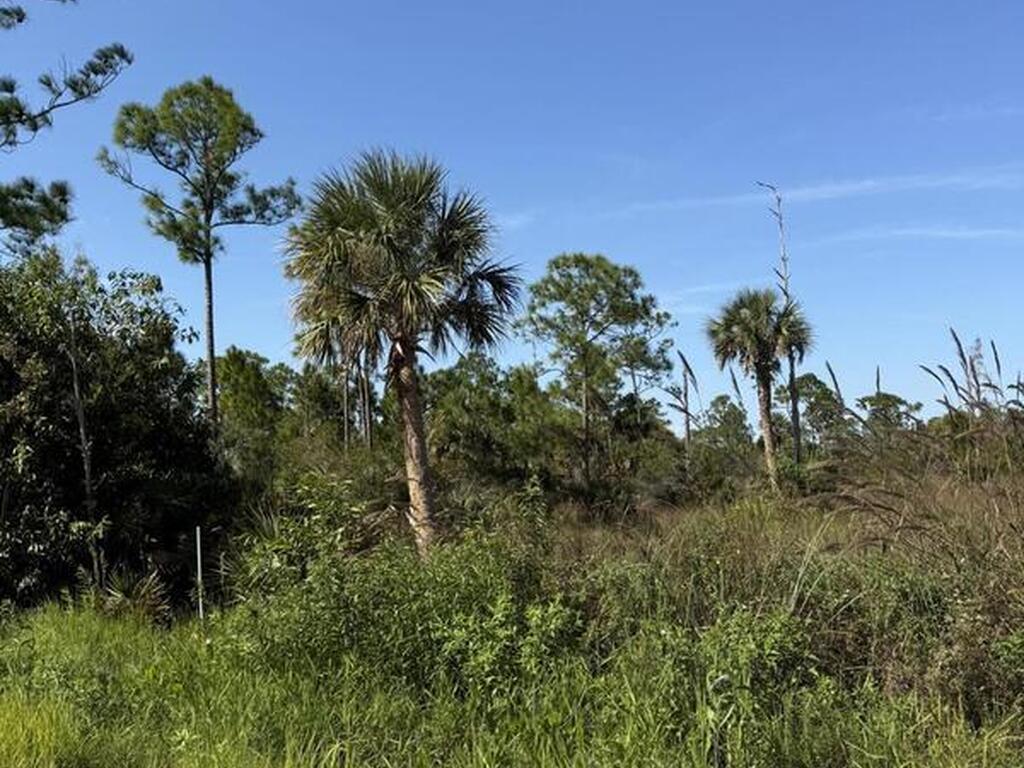 Xxx Unknown, Malabar, FL 32950