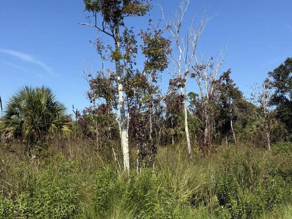 Xxx Unknown, Malabar, FL 32950