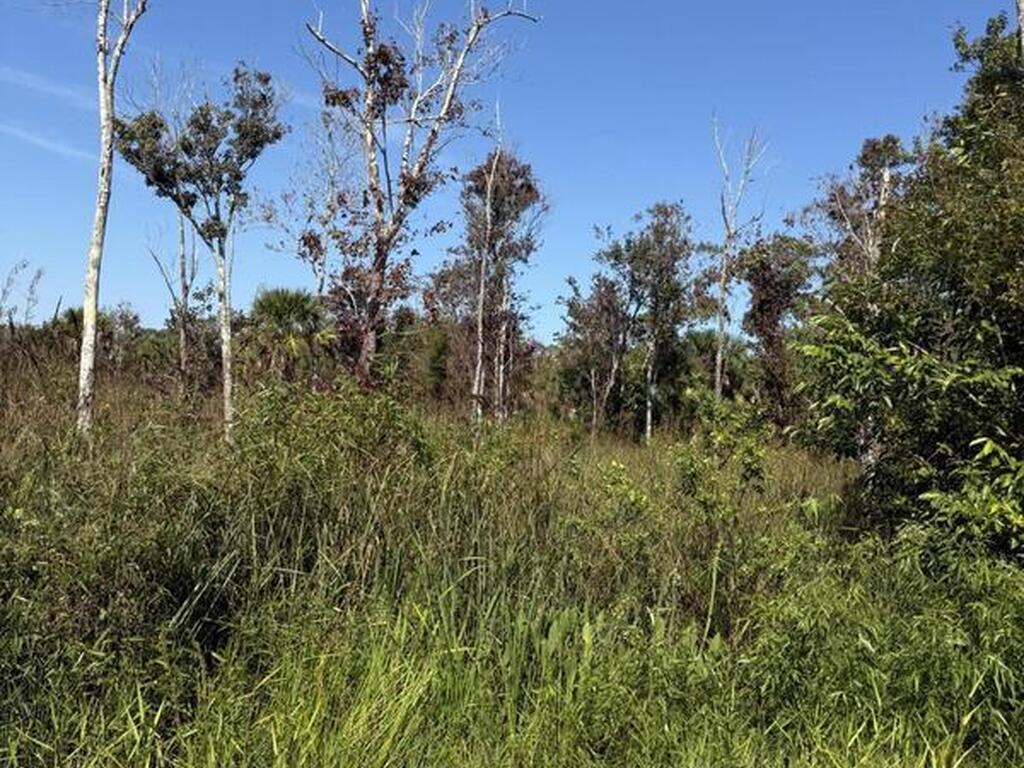 Xxx Unknown, Malabar, FL 32950