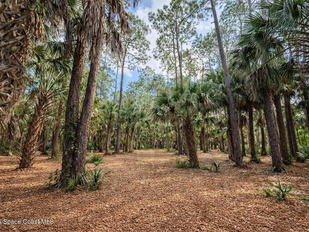 3975 Corey Road, Malabar, FL 32950