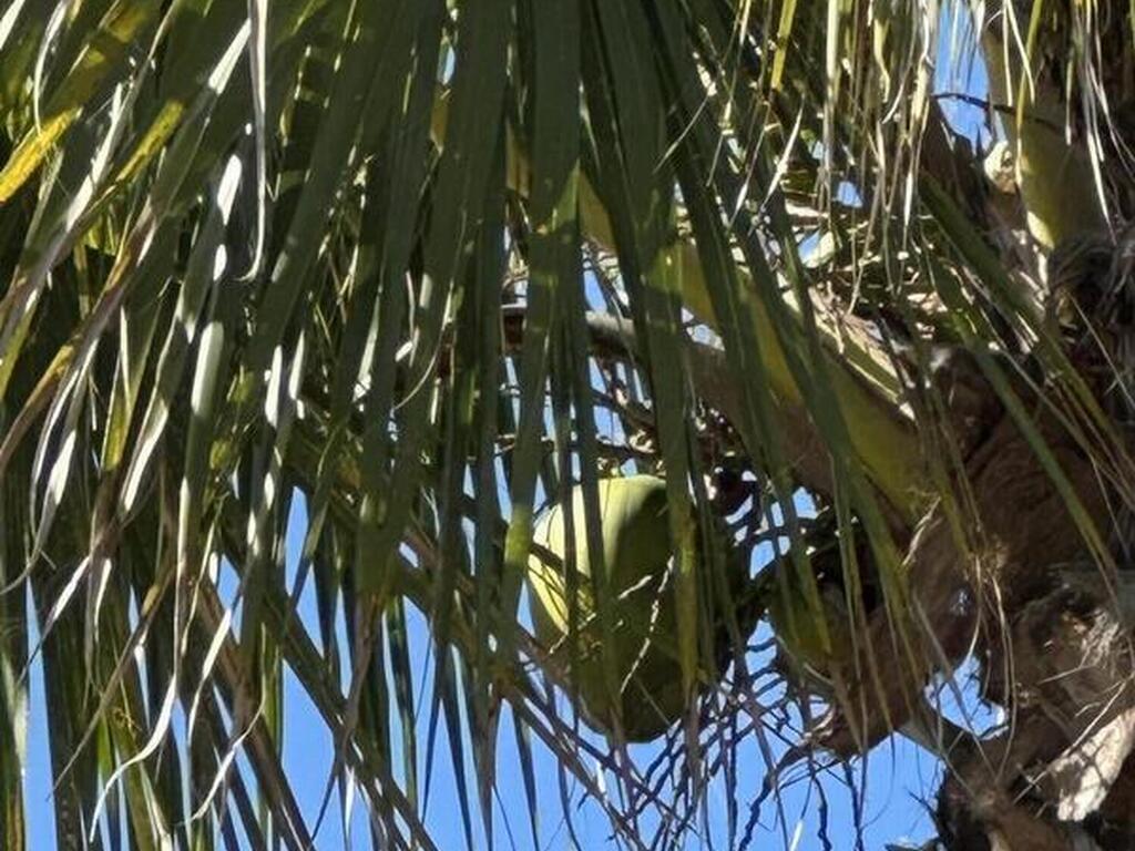 6570 S Floridana Avenue, Melbourne Beach, FL 32951