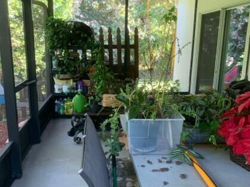 450 Hazel Street, Sebastian, FL 32958