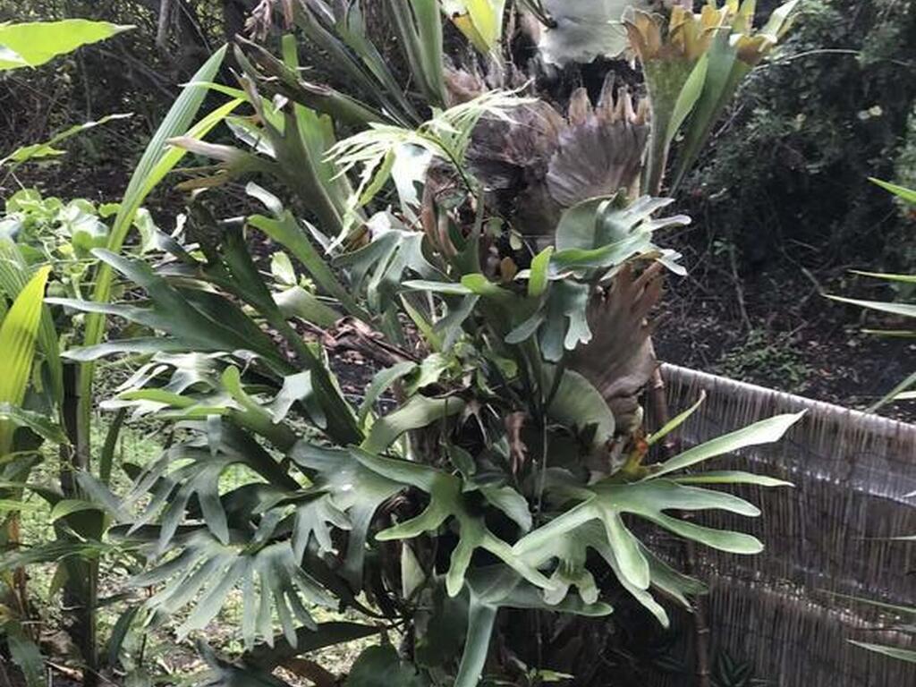 450 Hazel Street, Sebastian, FL 32958