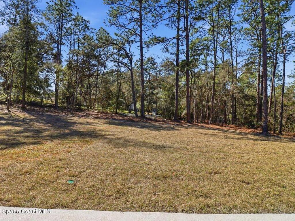 5656 N Oakmont Drive, Beverly Hlls, FL 34465