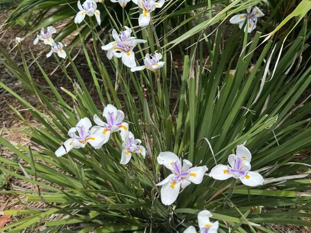 4618 Katy Drive, New Smyrna Beach, FL 32169