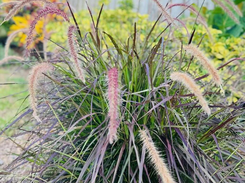 4618 Katy Drive, New Smyrna Beach, FL 32169