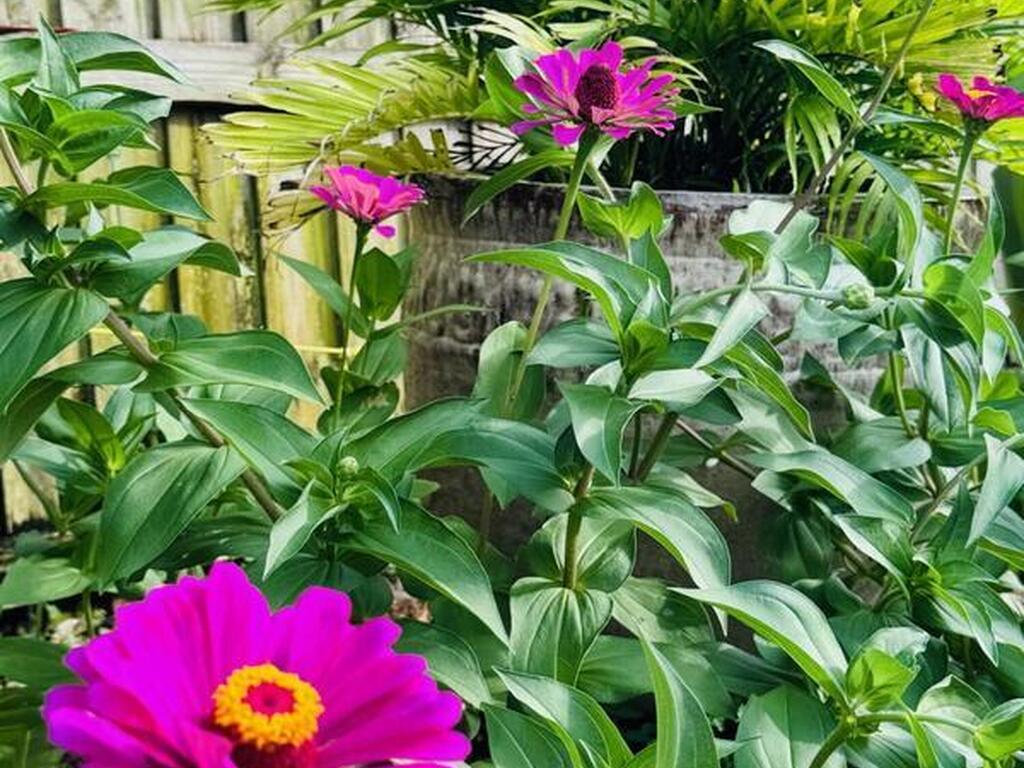 4618 Katy Drive, New Smyrna Beach, FL 32169