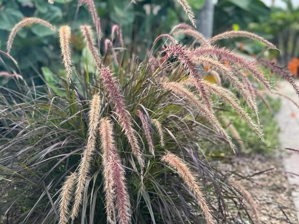 4618 Katy Drive, New Smyrna Beach, FL 32169